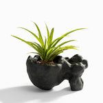 Load image into Gallery viewer, Receptacle of yore