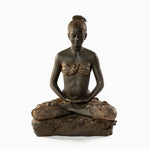 Load image into Gallery viewer, Parnashavari