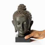 Load image into Gallery viewer, Buddha The Journey Within
