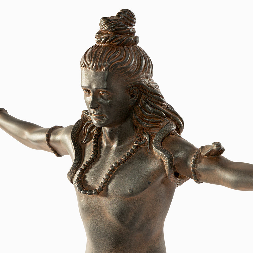 Tandava- The Primodial Dance